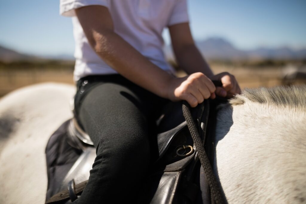 Child sitting on the horse back